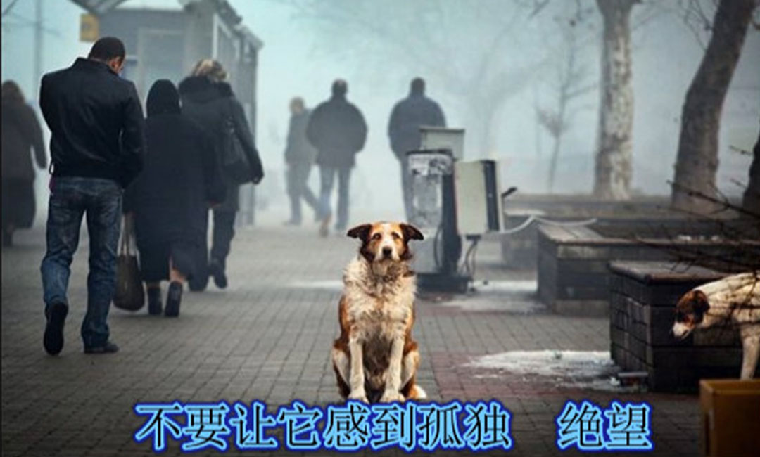 昆明爱影圈微博微信转发案例